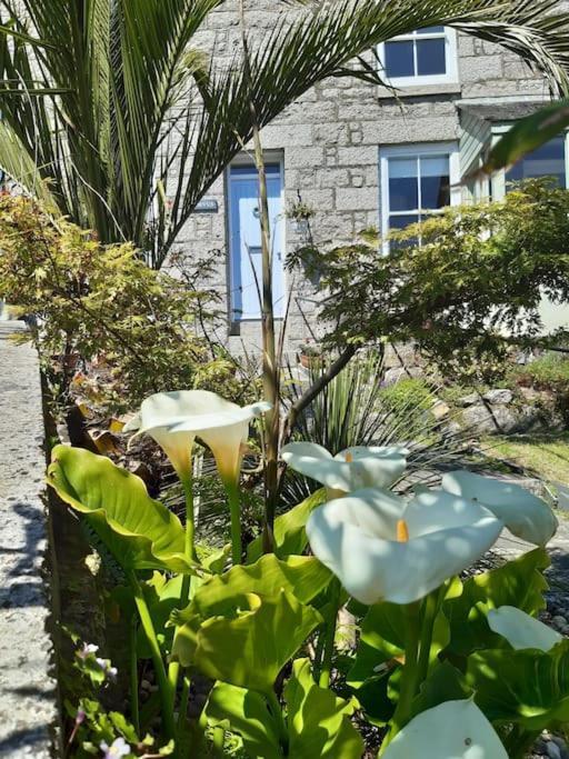 Corvus - Beautiful Cottage Half A Mile From Mousehole Penzance Exterior foto