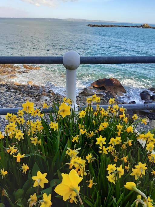 Corvus - Beautiful Cottage Half A Mile From Mousehole Penzance Exterior foto